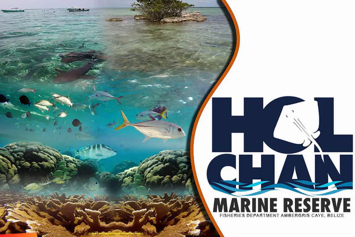 Hol Chan Marine Reserve