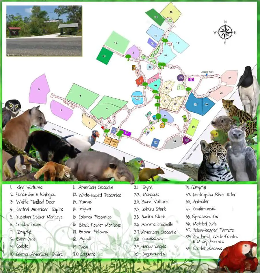 The Belize Zoo Map