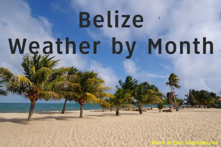 Belize weather by month average temp when to visit belize at your