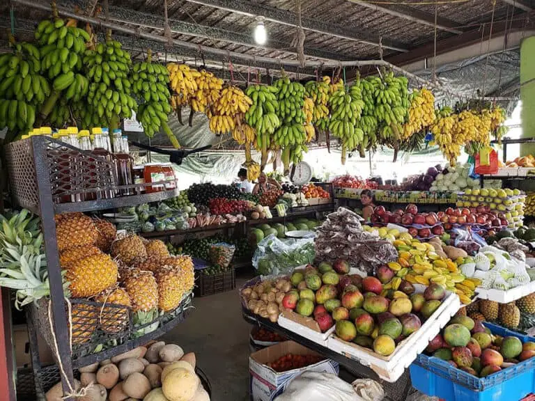 San Ignacio Market