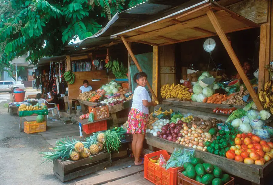 Belmopan City Farmers Market