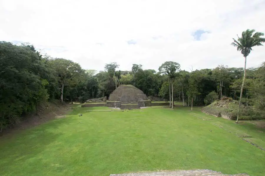 Caracol ruins open area