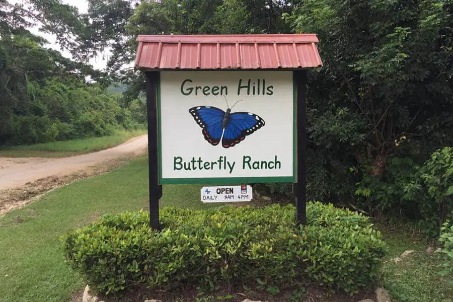 Green Hills Butterfly Ranch