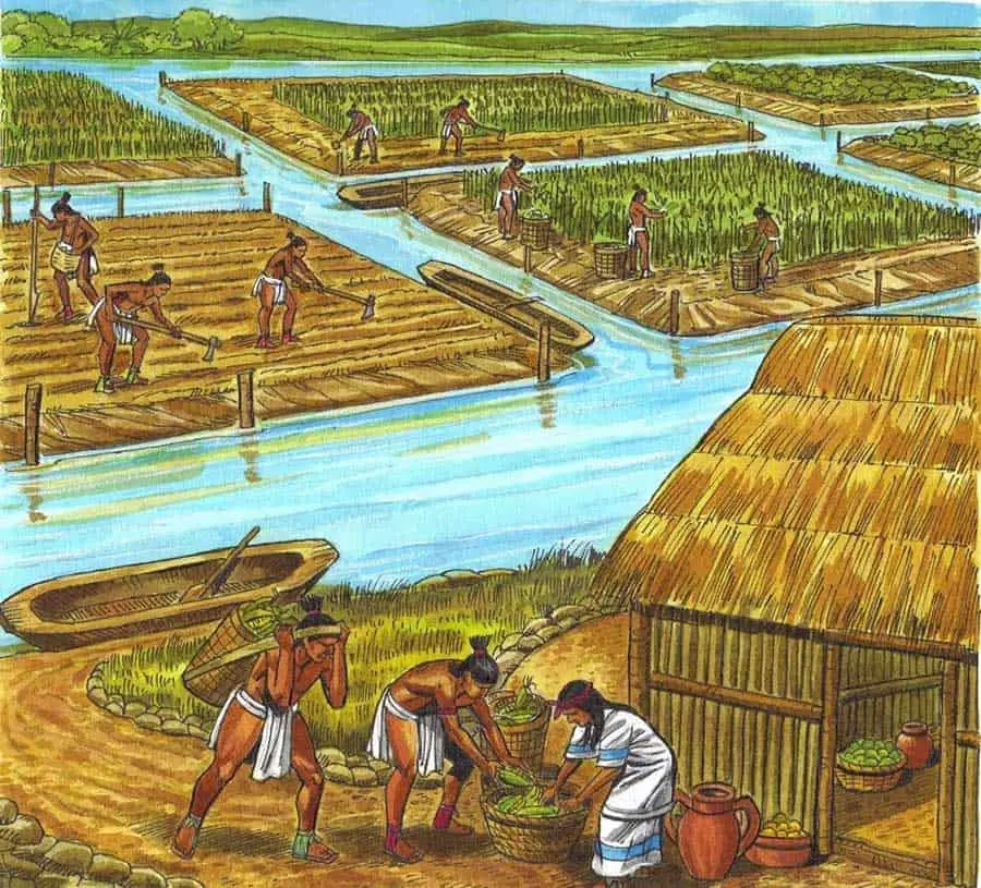 Mayan Farming