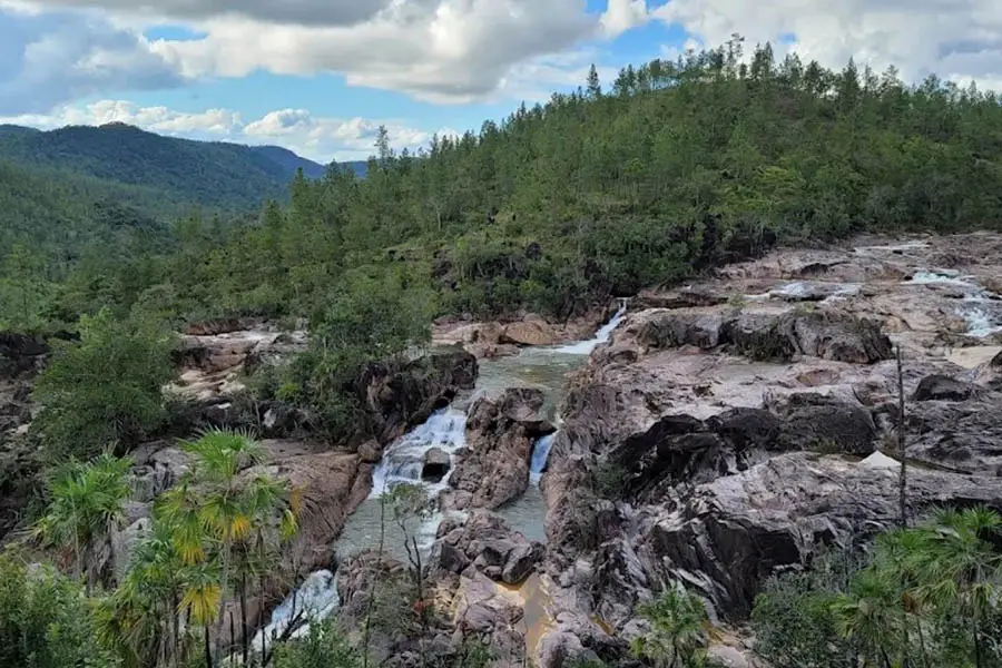 Mountain Pine Ridge Forest
