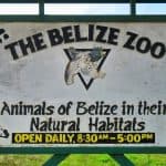 The Belize Zoo